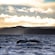 A whale diving into the ocean with its tail above the water